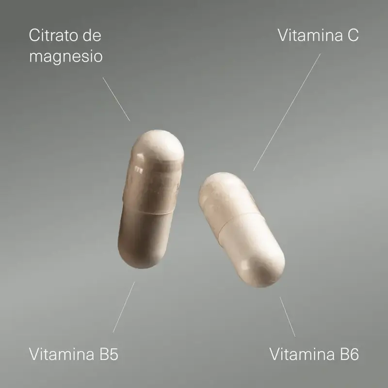 Aldous Labs Suplemento Alimentar Magnésio com Vitamina C, B5 e B6 , 200 cápsulas