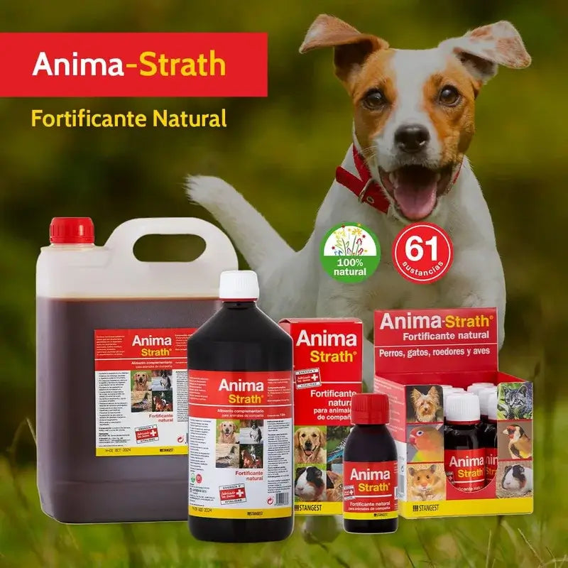 ANIMA STRATH 250 ML