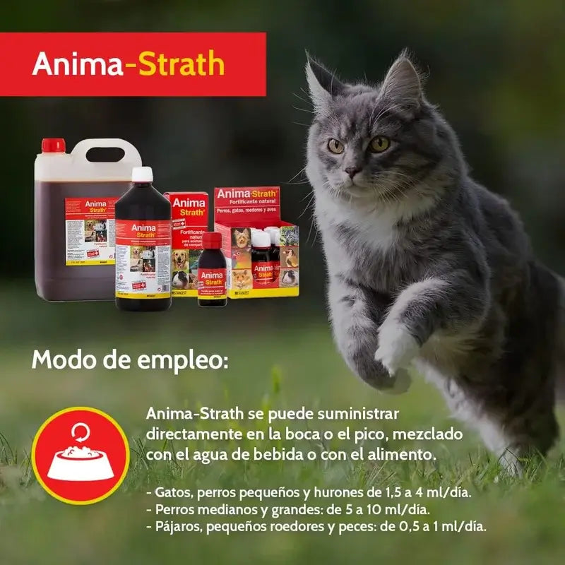 ANIMA STRATH 250 ML