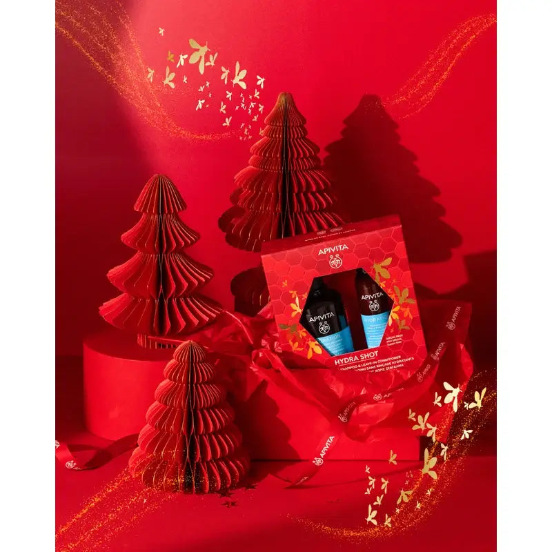 Apivita Box - Champô Hidratante + Condicionador Leave-in Hidratante 100Ml, 2 unidades