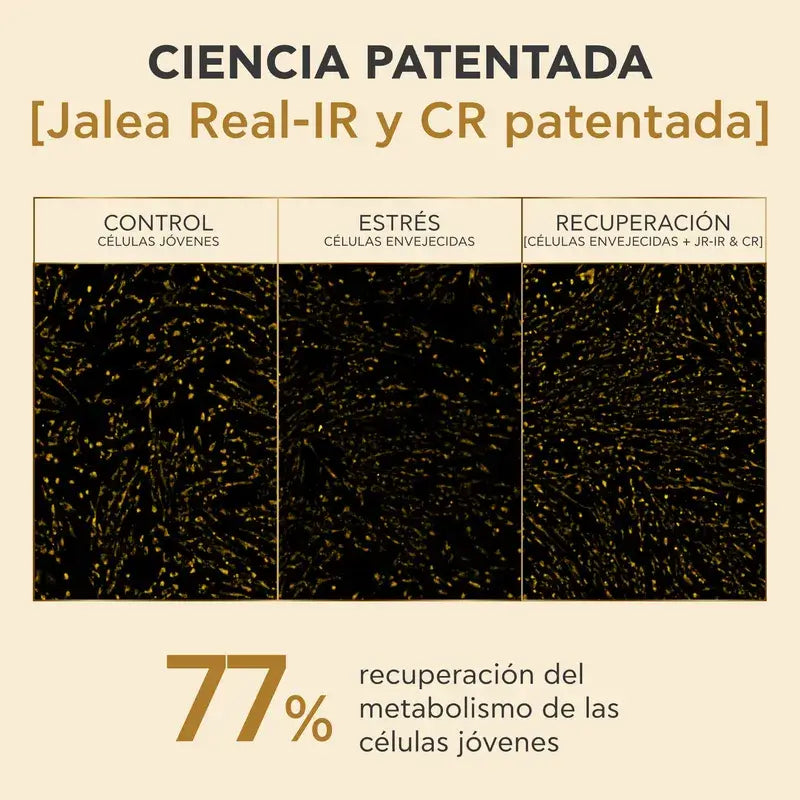 Apivita Queen Bee Longevity Rich Cream 12 Marcadores de Juventude, 50 ml