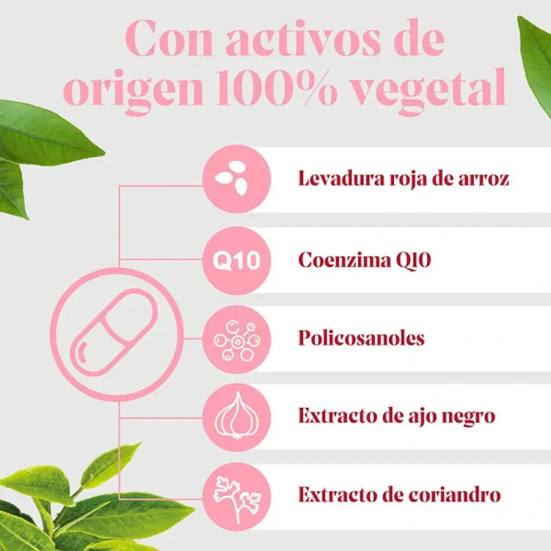 Arkopharma Arkosterol Plus Pack, 60 cápsulas