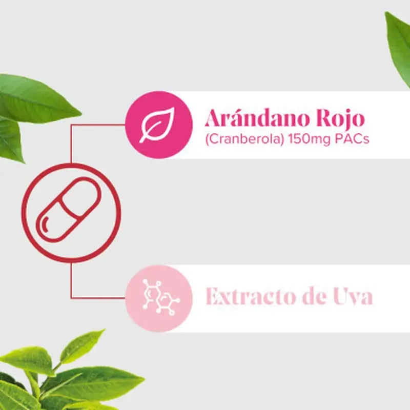 Arkopharma Cis-Control Cranberola 120 Cápsulas