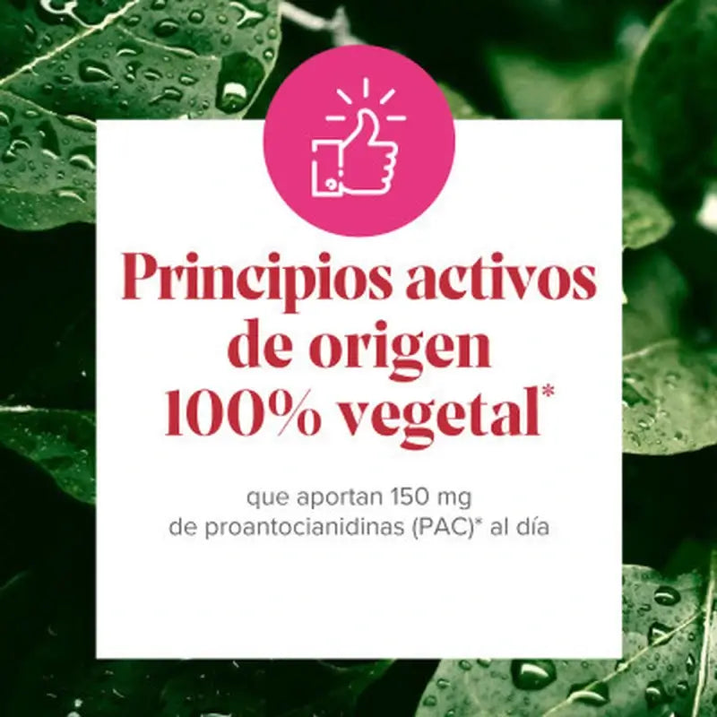 Arkopharma Cis-Control Cranberola 120 Cápsulas