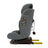 Assento de automóvel Asalvo I-Size I-Size 40-150 Cms Protocare Cinzento