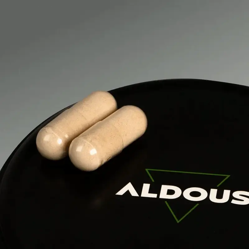 Orgânico Aldous Ashwagandha KSM-66, 600mg