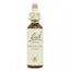 Bach Chestnut Bud 20 ml