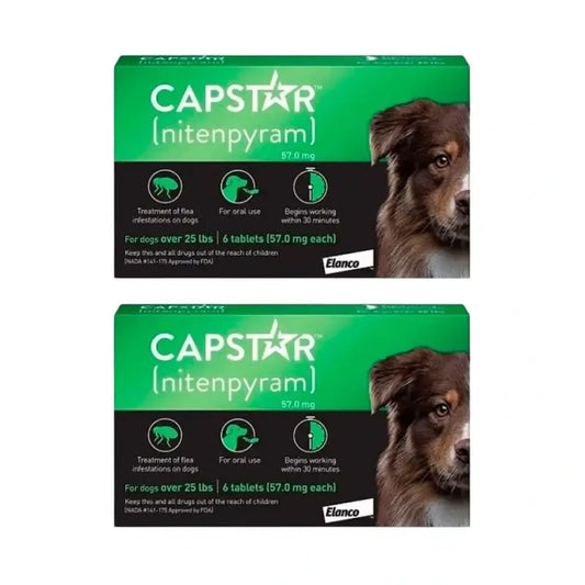 Capstar 57 Mg Cão 11-60Kg, 12 comprimidos