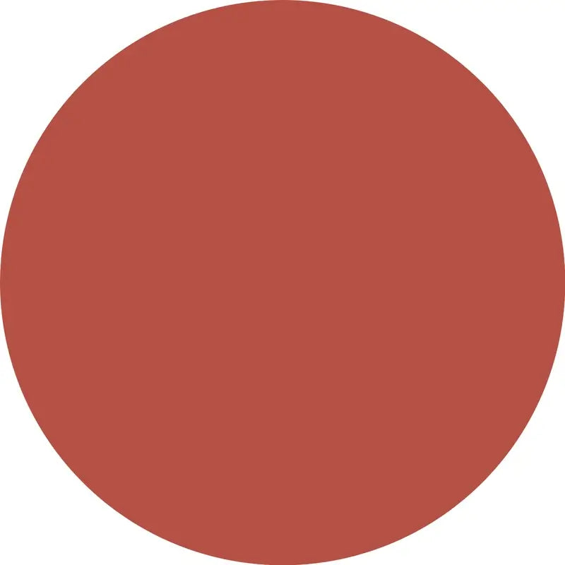 Catrice Liquid Lipstick Endless Matte 040 , 4,5 ml