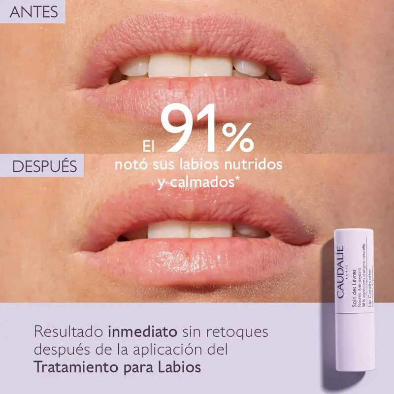 Tratamento para Lábios Caudalie, 4,5 gr