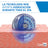 Creme Hidratante CeraVe, 454 gr
