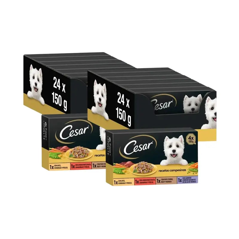 Cesar Multipack Receta Campesina, embalagem de 2, 6X4X150Gr