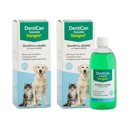 Dentican Stangest Solúvel, 2X500 Ml
