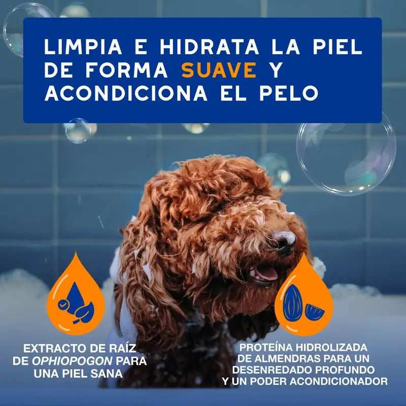 Douxo Skin & Coat Spa Champô e Condicionador 2 em 1 para Cães, 250 ml
