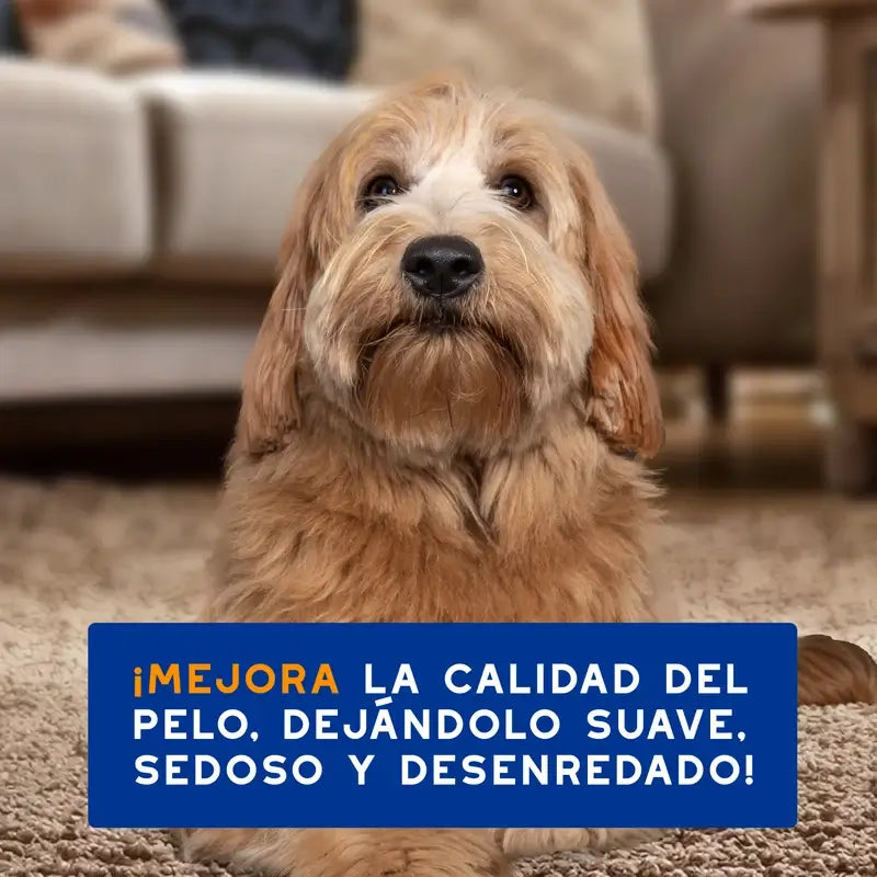 Douxo Skin & Coat Spa Champô e Condicionador 2 em 1 para Cães, 250 ml