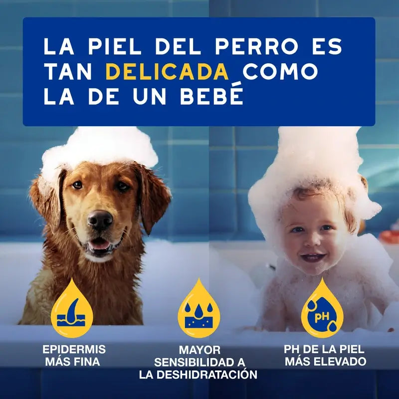Douxo Skin & Coat Spa Condicionador de Aveia para Cães 250ml