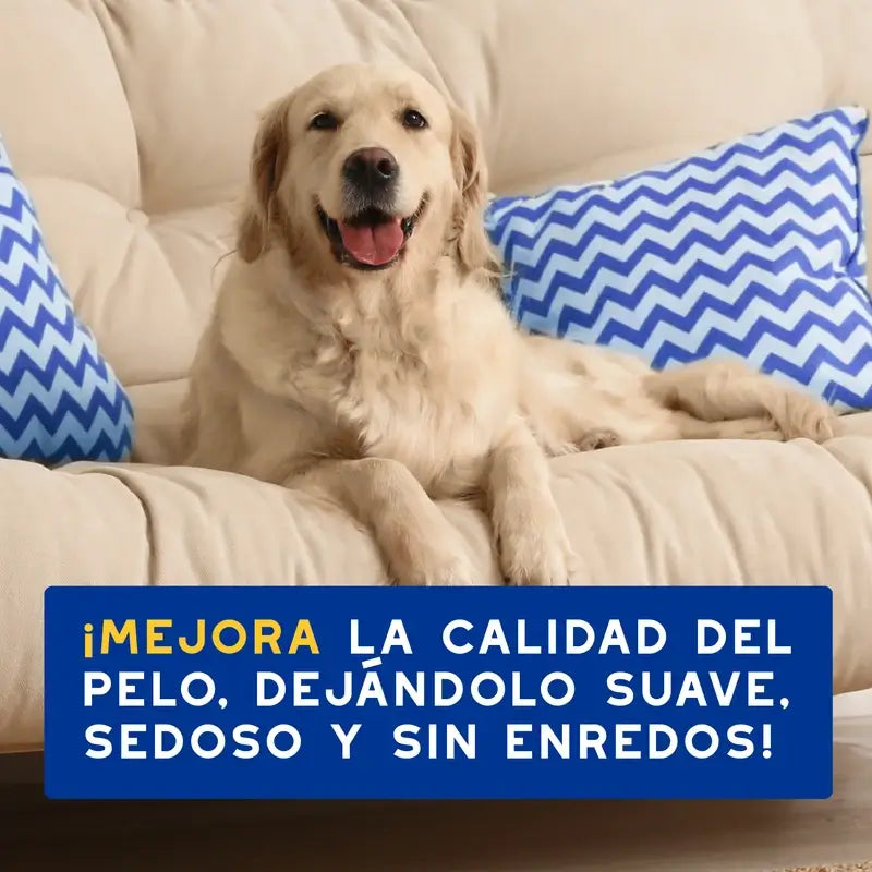 Douxo Skin & Coat Spa Condicionador de Aveia para Cães 250ml