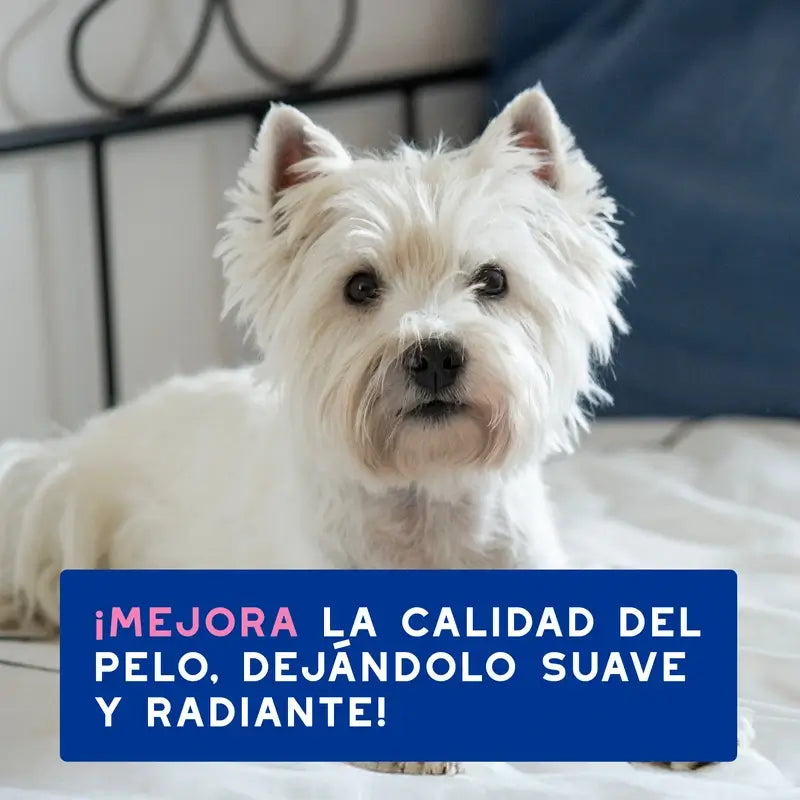 Douxo Skin & Coat Spa Champô Suavizante para Cães, 250 ml