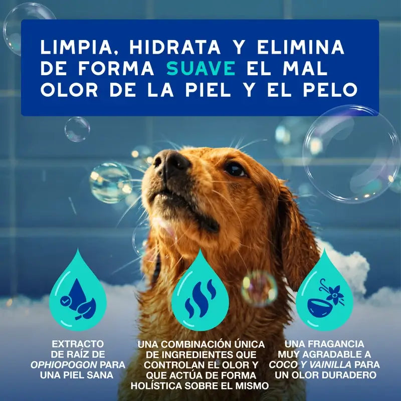 Douxo Skin & Coat Spa Champô Anti-Dor para Cães, 250 ml