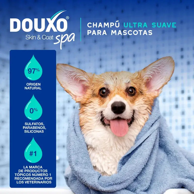 Douxo Skin & Coat Spa Champô Anti-Dor para Cães, 250 ml