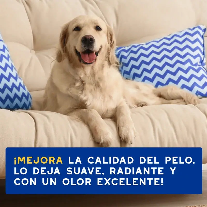 Douxo Skin & Coat Spa Champô de Aveia para Cães, 250 ml