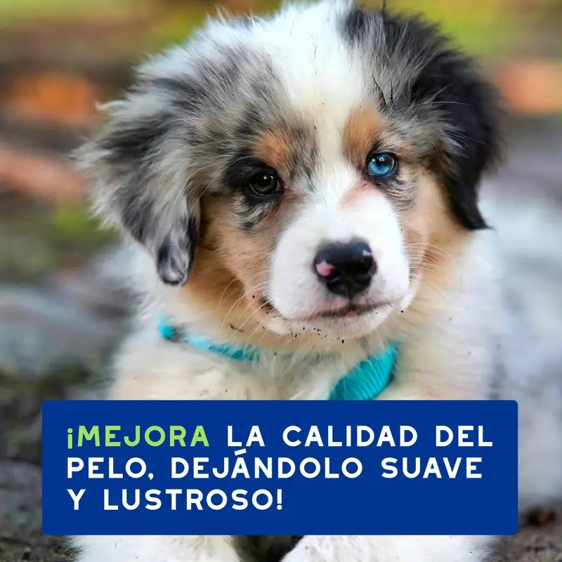 Champô Douxo Skin & Coat Spa Puppy, 250 ml