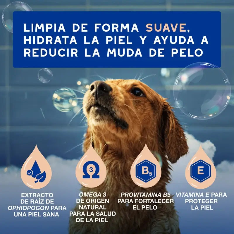 Douxo Skin & Coat Spa Champô Controlo da muda para Cães, 250 ml