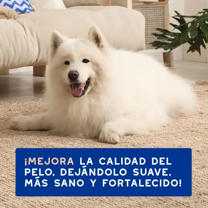 Douxo Skin & Coat Spa Champô Controlo da muda para Cães, 250 ml