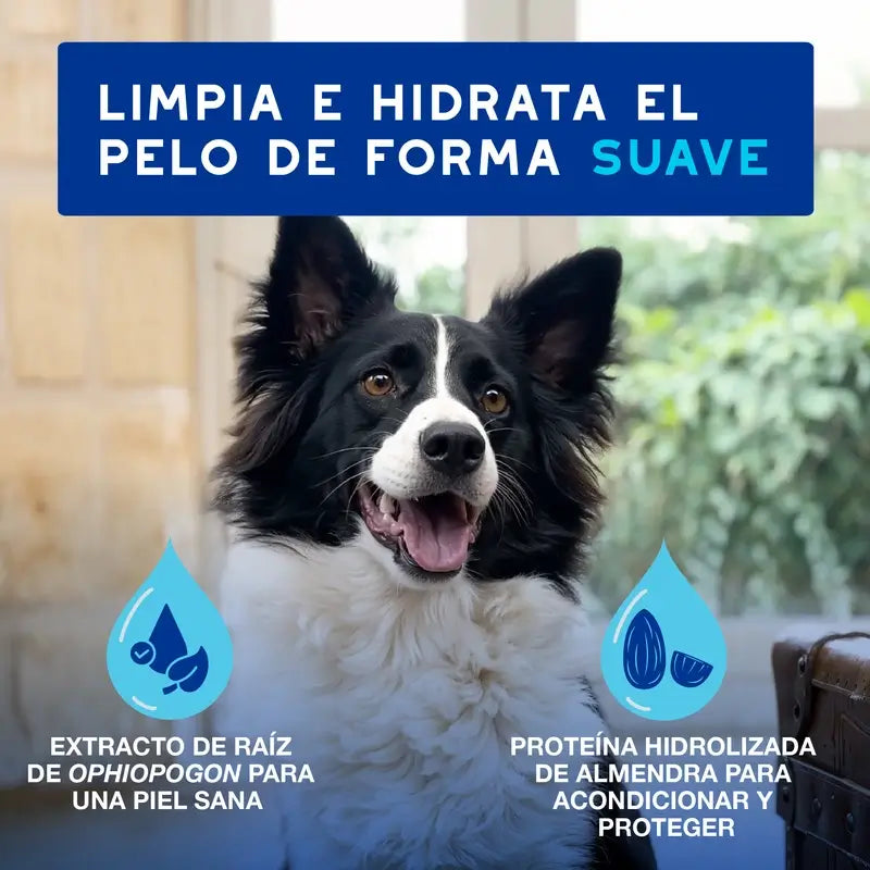 Douxo Skin & Coat Spa Espuma de Limpeza Expressa Ultra Suave, 150 ml