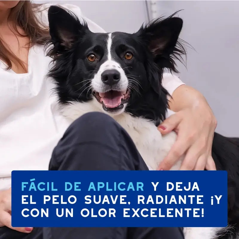 Douxo Skin & Coat Spa Espuma de Limpeza Expressa Ultra Suave, 150 ml