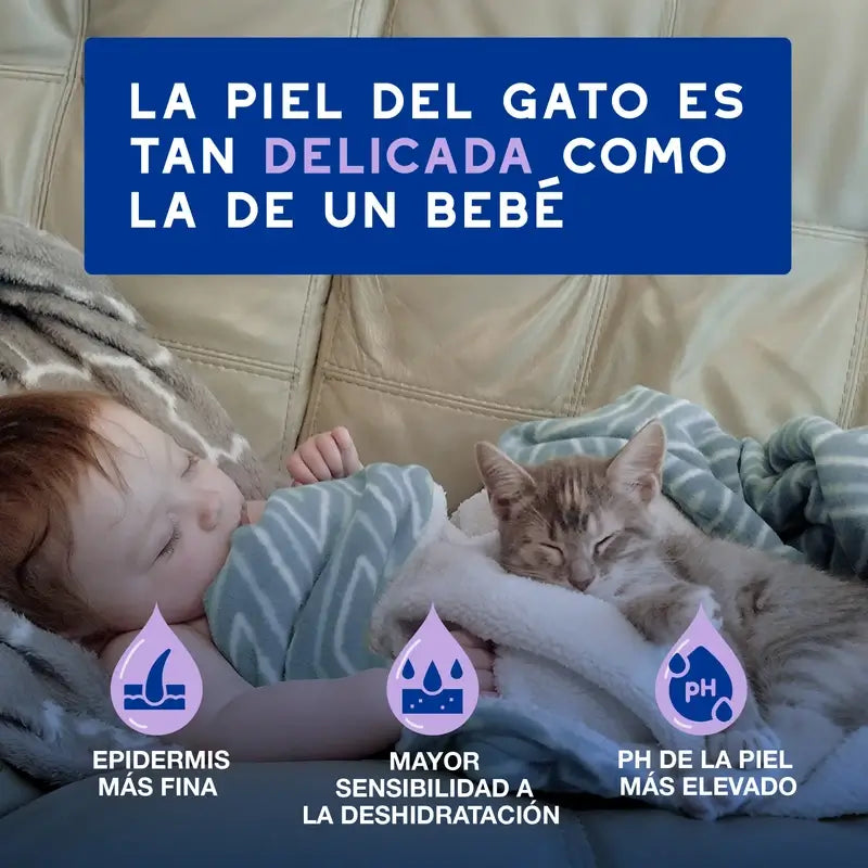 Douxo Skin & Coat Spa Ultra Gentle Cleansing Para uma limpeza sem stress dos gatos, 150 ml