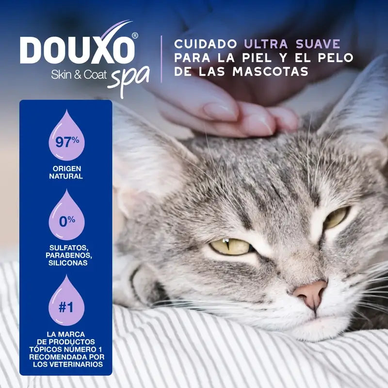 Douxo Skin & Coat Spa Ultra Gentle Cleansing Para uma limpeza sem stress dos gatos, 150 ml