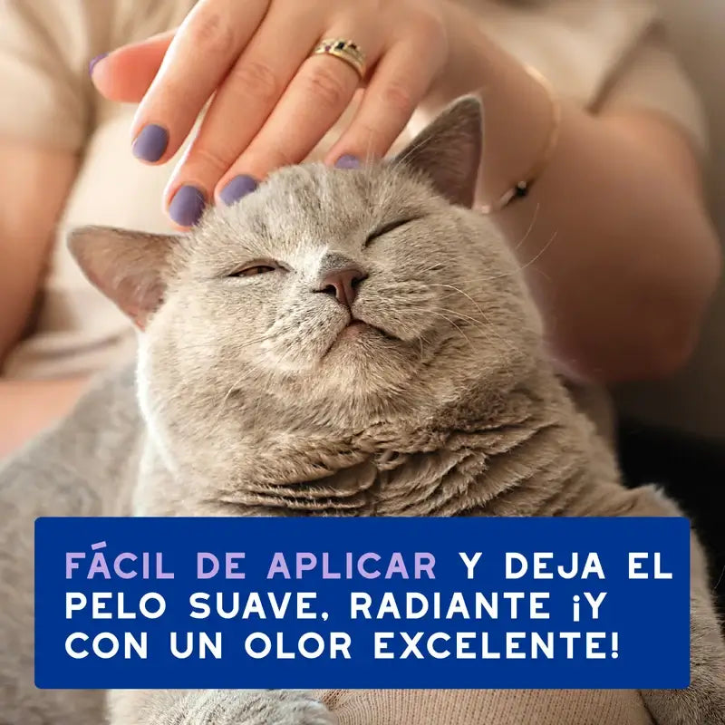 Douxo Skin & Coat Spa Ultra Gentle Cleansing Para uma limpeza sem stress dos gatos, 150 ml