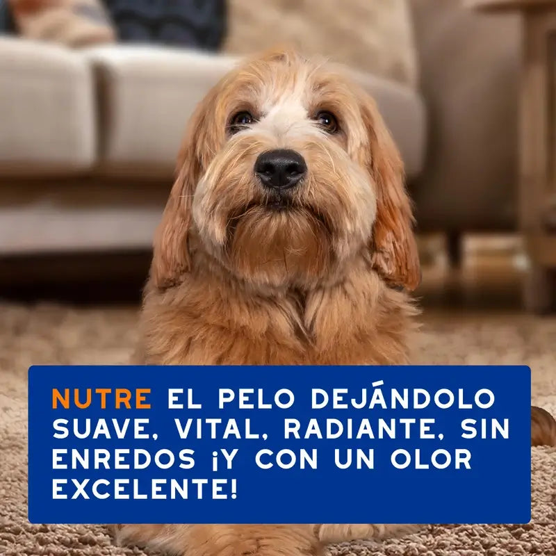 Douxo Skin & Coat Spa Detangling Spray Para Cães, 340 ml