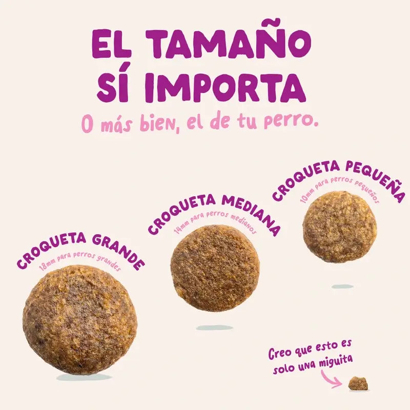 Edgard & Cooper Alimento médio para cachorros com pato fresco e frango , 2,5 kg