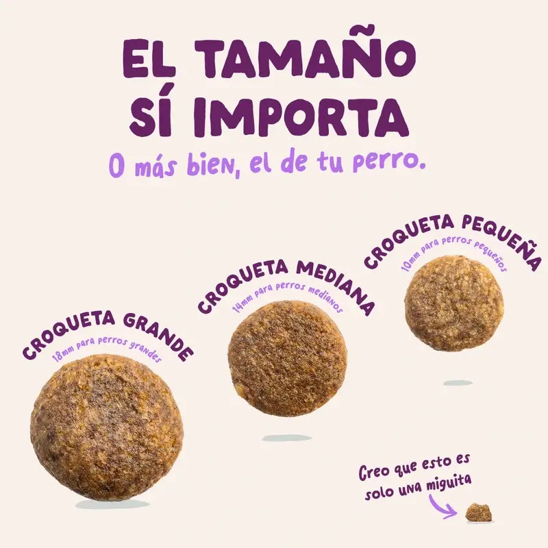 Edgard & Cooper Alimento médio para cachorros com salmão fresco e peru , 2,5 kg