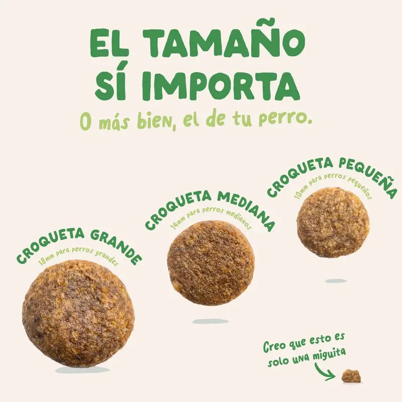 Edgard & Cooper Ração para Cães Adultos de Grande Porte com Borrego Fresco, 12 kg