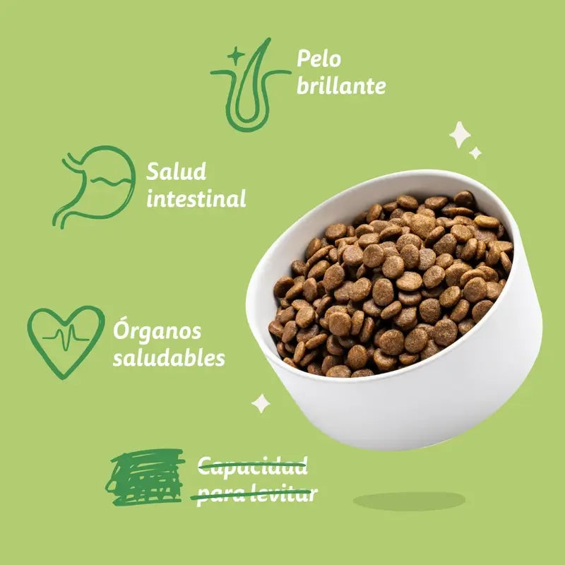 Edgard & Cooper Ração para Cães Adultos de Grande Porte com Borrego Fresco, 12 kg