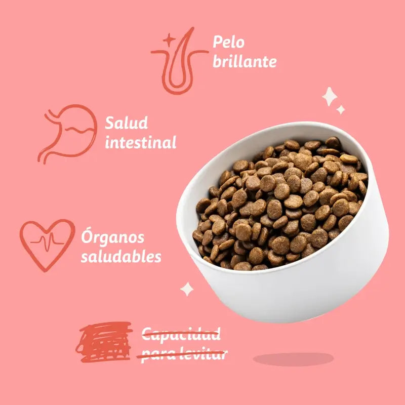 Edgard & Cooper Alimento para cães sénior com frango fresco e salmão , 12 kg