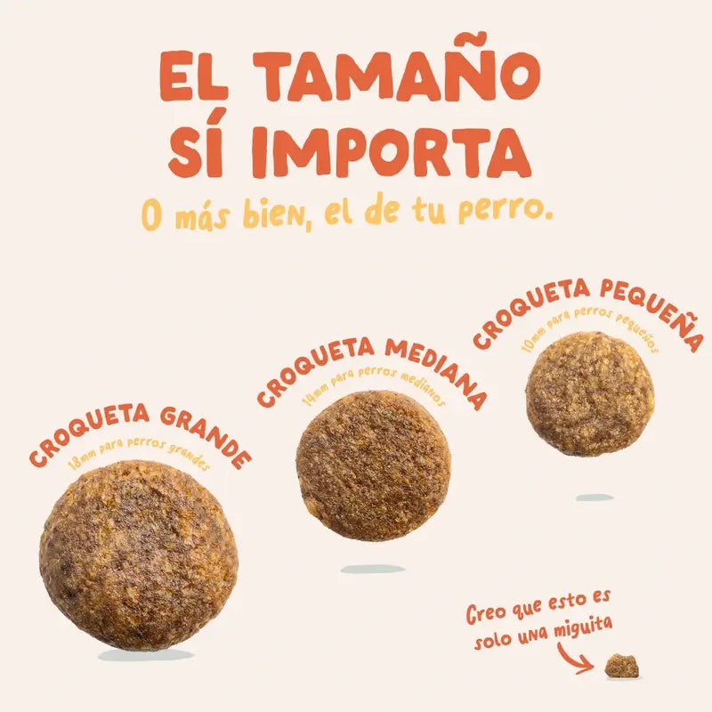 Edgard & Cooper Mini Alimento para cães adultos com frango fresco , 0,7 kg