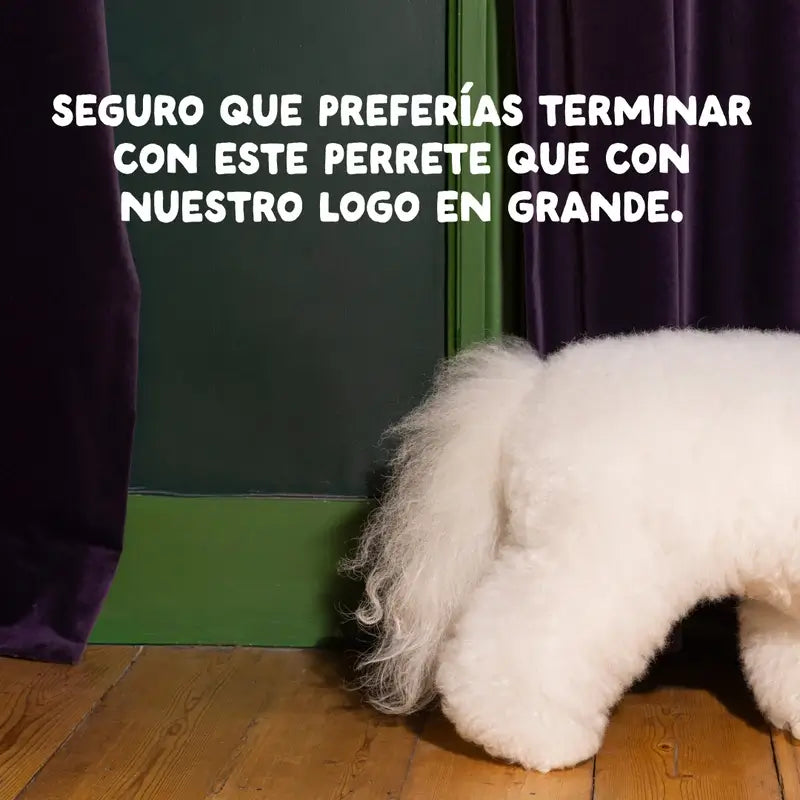 Edgard & Cooper Mini Alimento para cães adultos com frango fresco , 0,7 kg