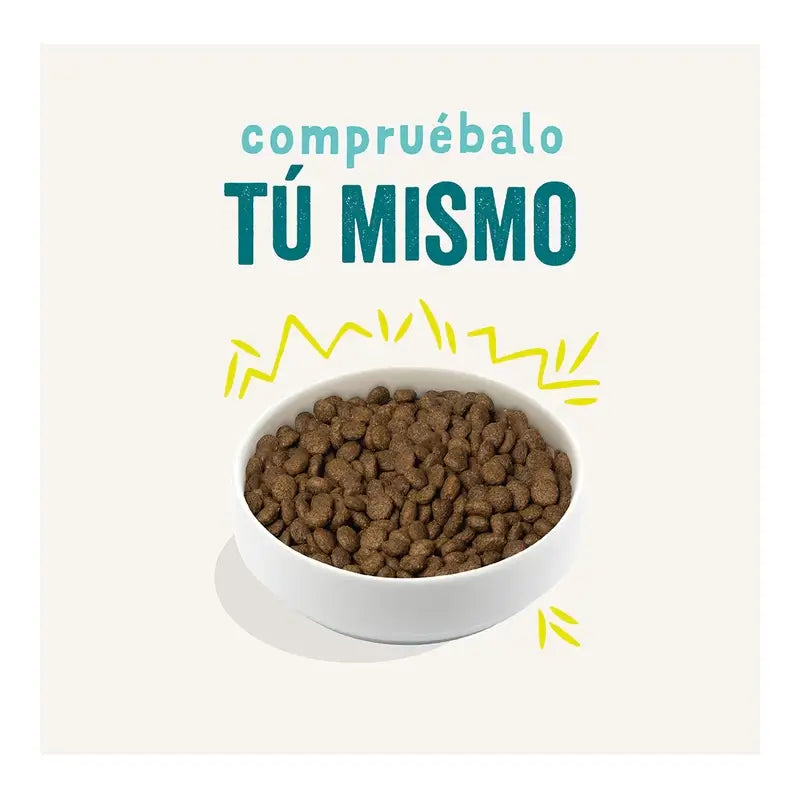 Edgard & Cooper Cenoura e Curgete Alimento para Cães Adultos Médios , 2,5 kg