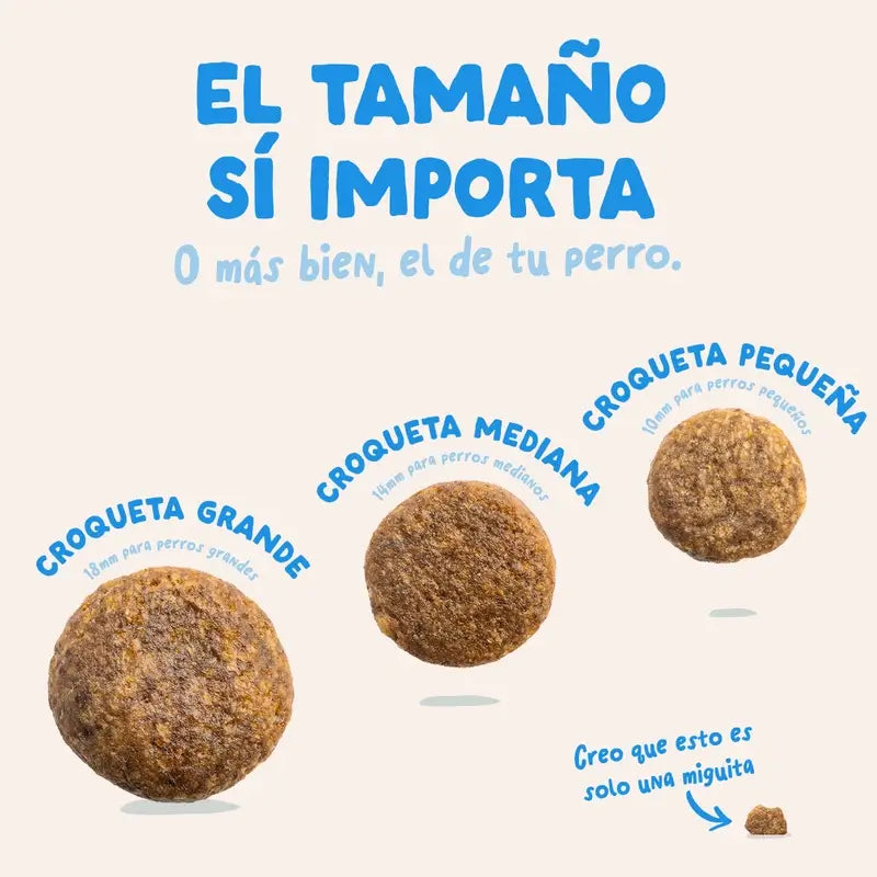 Edgard & Cooper Mini Alimento para cães adultos com salmão fresco , 3 kg