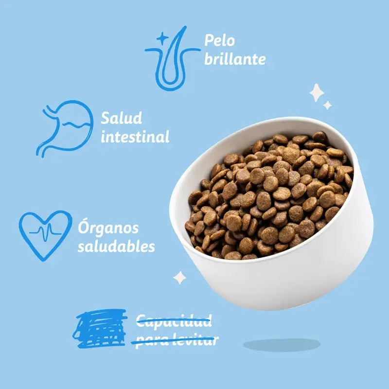 Edgard & Cooper Miniature Alimento para cães adultos com salmão fresco , 0,7 kg