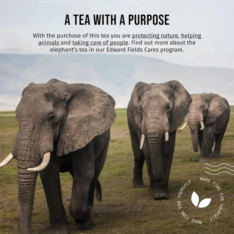 Chá Edward Fields Chá verde orgânico a granel com gengibre e limão, 100 g