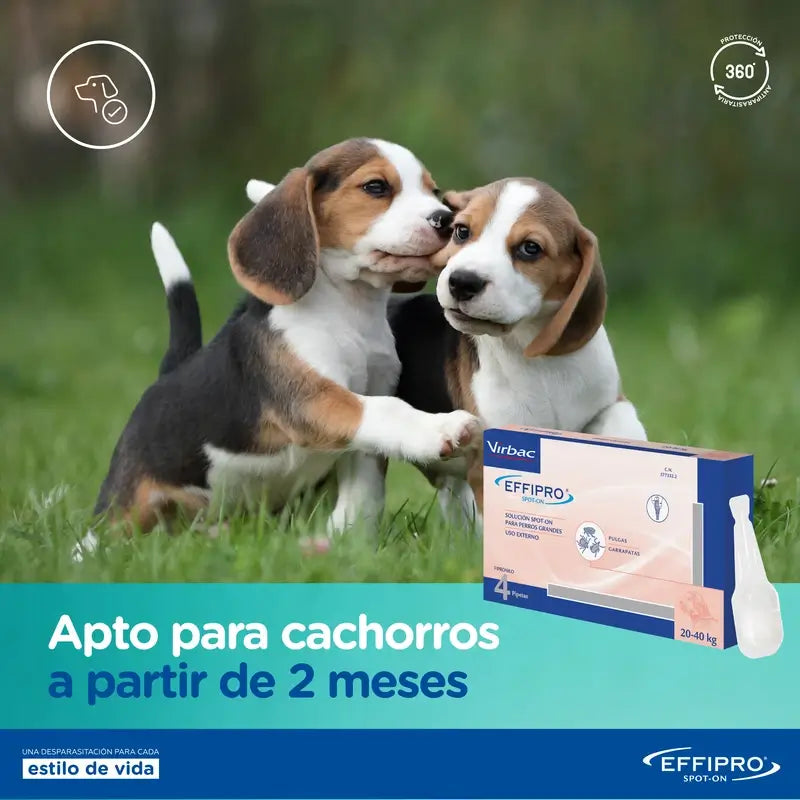 Effipro 134 Mg Spot-On Cães Médios 10-20kg, 4 Pipetas