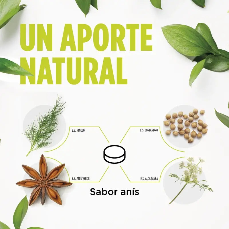 Eladiet Digest Aciflux Protect, 30 comprimidos