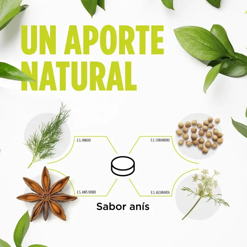 Eladiet Digest Gases (Aero), 60 comprimidos