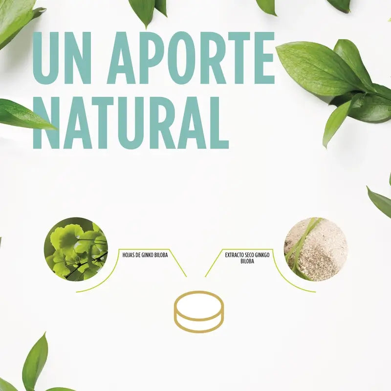 Eladiet Ginkoro, 90 comprimidos