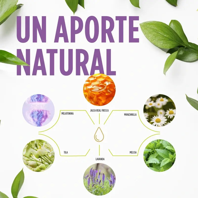 Eladiet Jelly Kids Sweet Dreams Com Melatonina, 250 ml